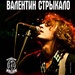 Валентин Стрикало - сольний концерт