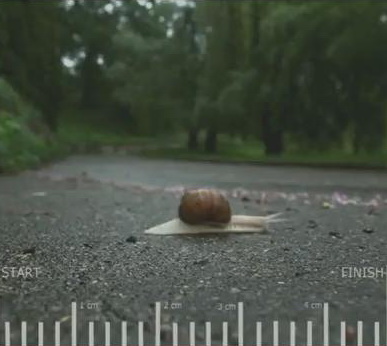 Роллік'с - Адреналін