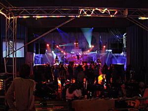 Новорічна ніч у клубі Бінго