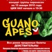 Guano Apes