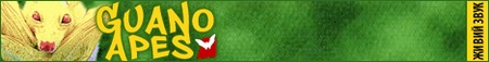Guano Apes