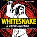 Whitesnake