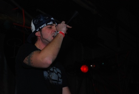 Рольова модель