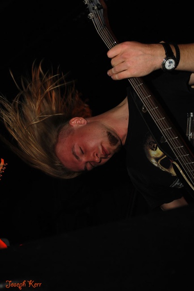 Шелест Запахов