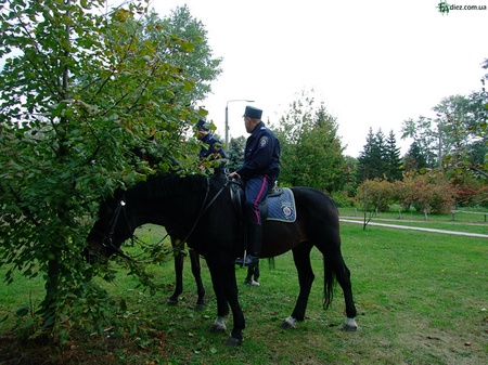 Рок Січ - 2010