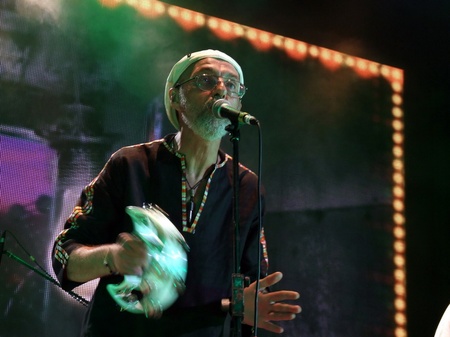 Брати Гадюкіни: Я вернувся домів