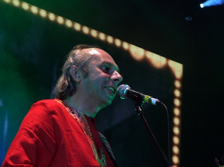 Брати Гадюкіни: Я вернувся домів