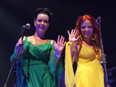 Брати Гадюкіни: Я вернувся домів