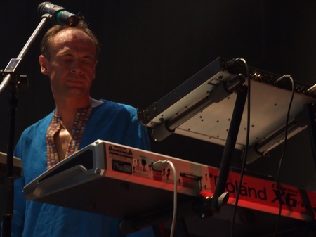 Брати Гадюкіни: Я вернувся домів