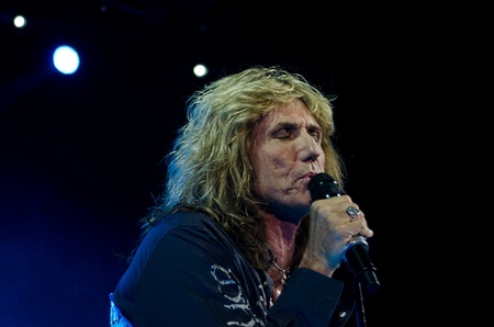 Whitesnake 