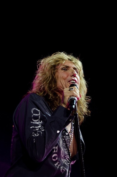 Whitesnake 